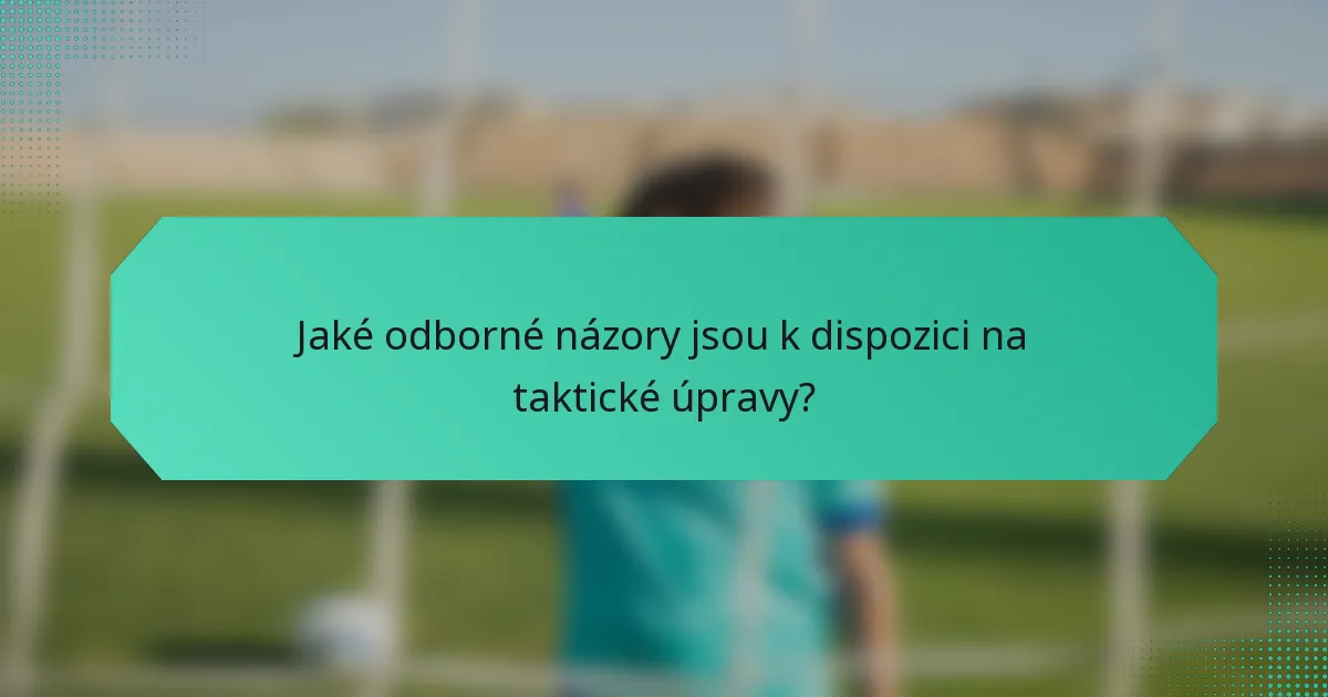 Jaké odborné názory jsou k dispozici na taktické úpravy?
